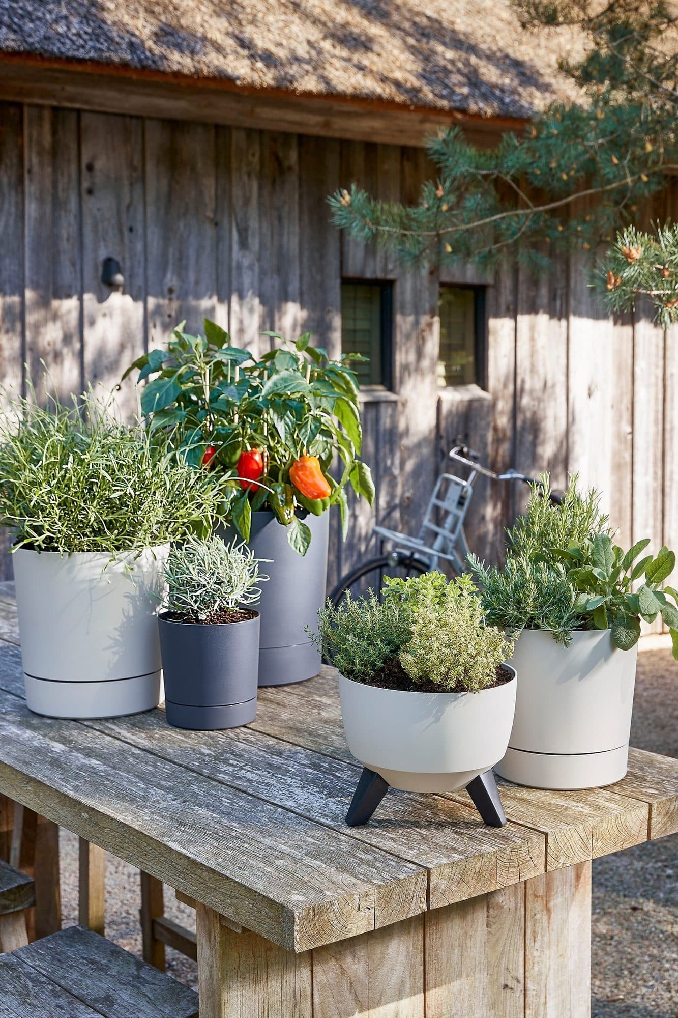 Plantenpot Mica Coco met schotel rond hoogte 23,5 Ø22,5 cm beige 2