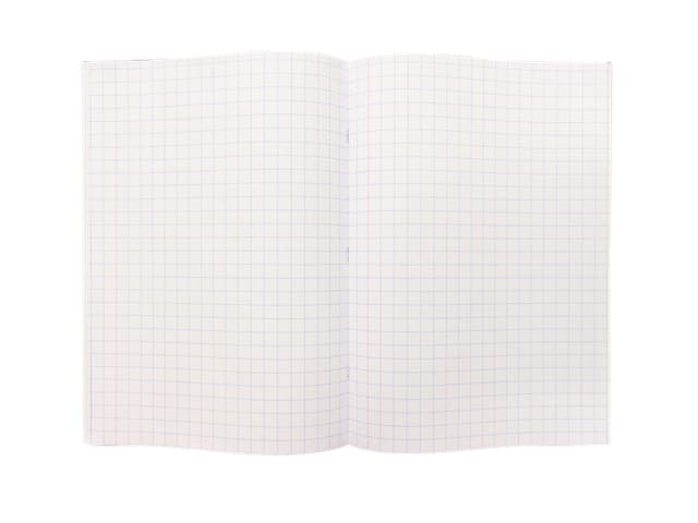 Schrift Kangaro A4 ruit 10mm 80 pagina's 60gr assorti pak  à 5 stuks 4