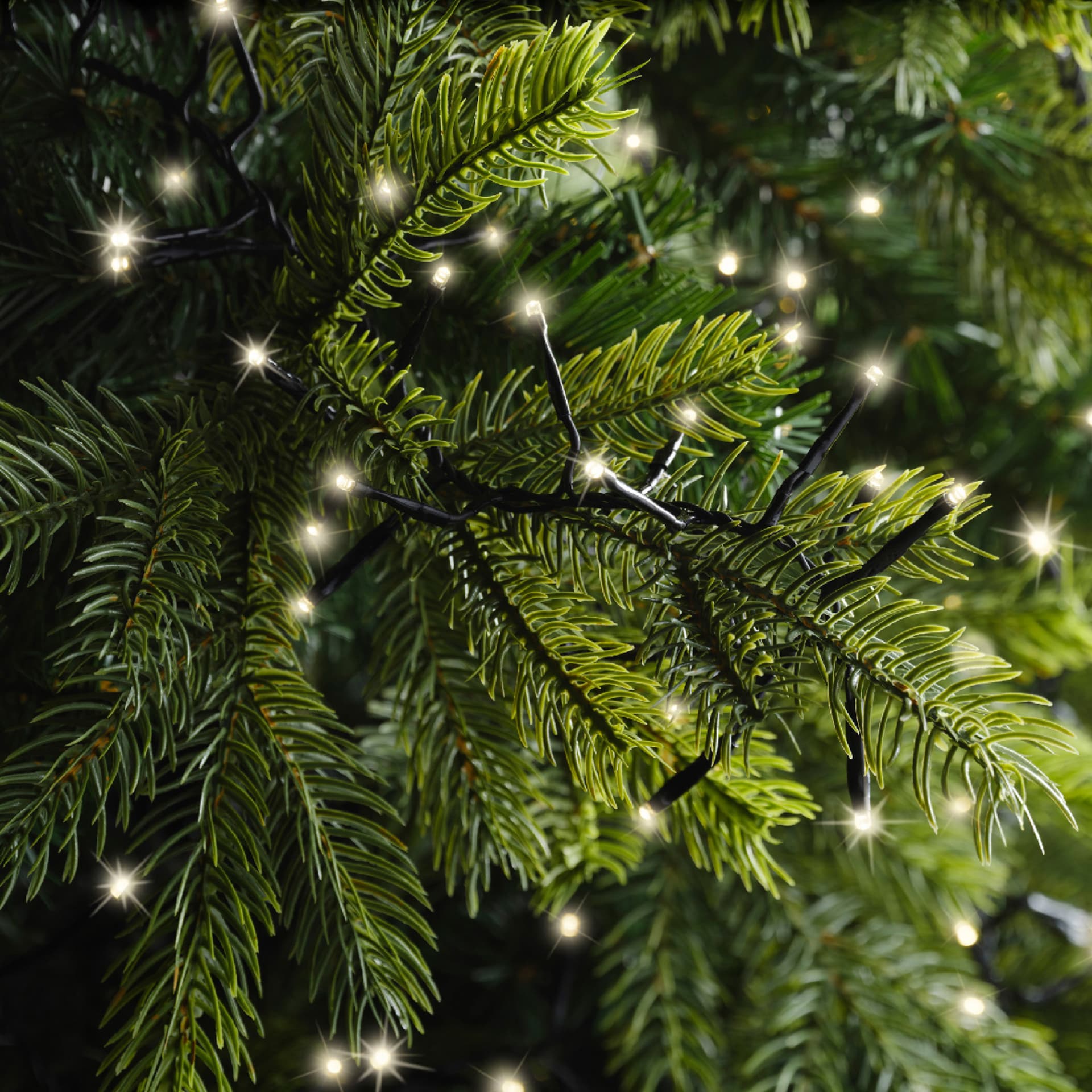 Kerstverlichting LED twinkel effect outdoor 20m 1272 lampjes 7
