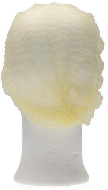 Haarnet CMT clip non-woven L 53cm PP geel 100 stuks 3