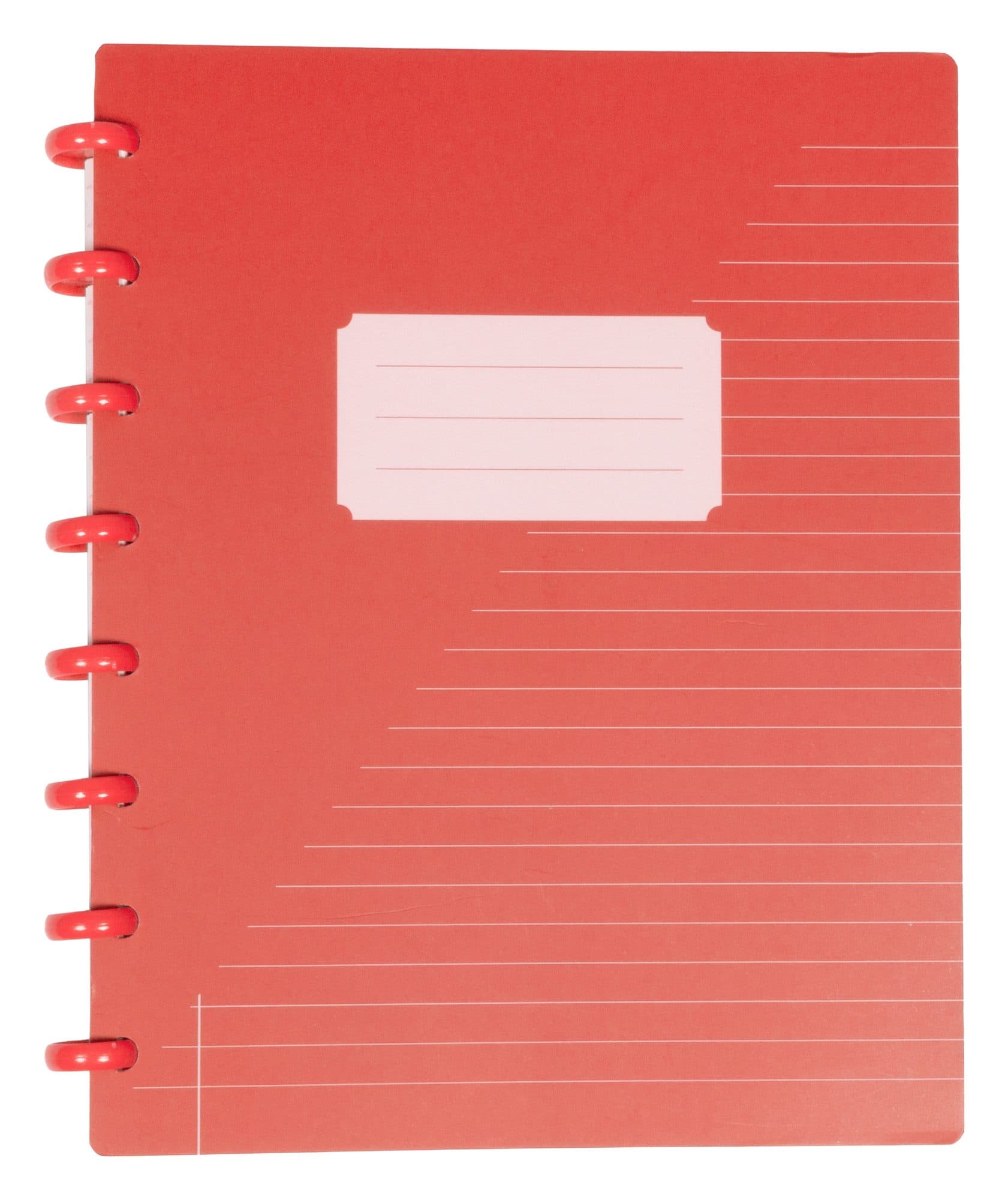 Schrift Kangaro 169x213mm lijn 144pag 90g ass 3 kleur krimp 12st 4