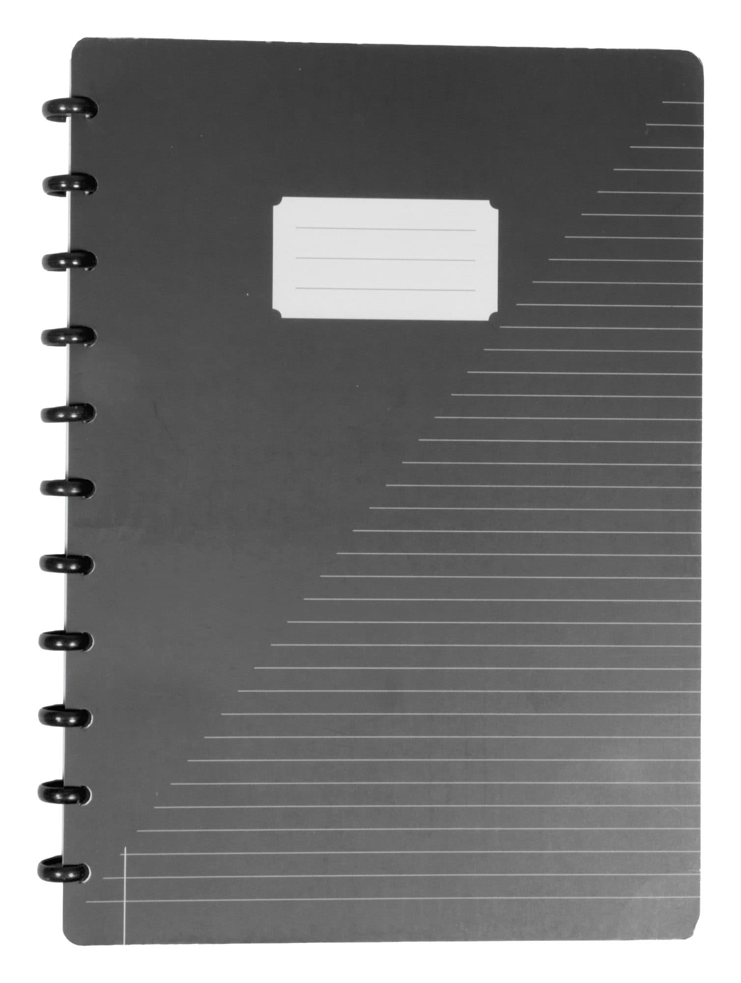 Schrift Kangaro A4 lijn 144pag 90g assorti 3 kleuren