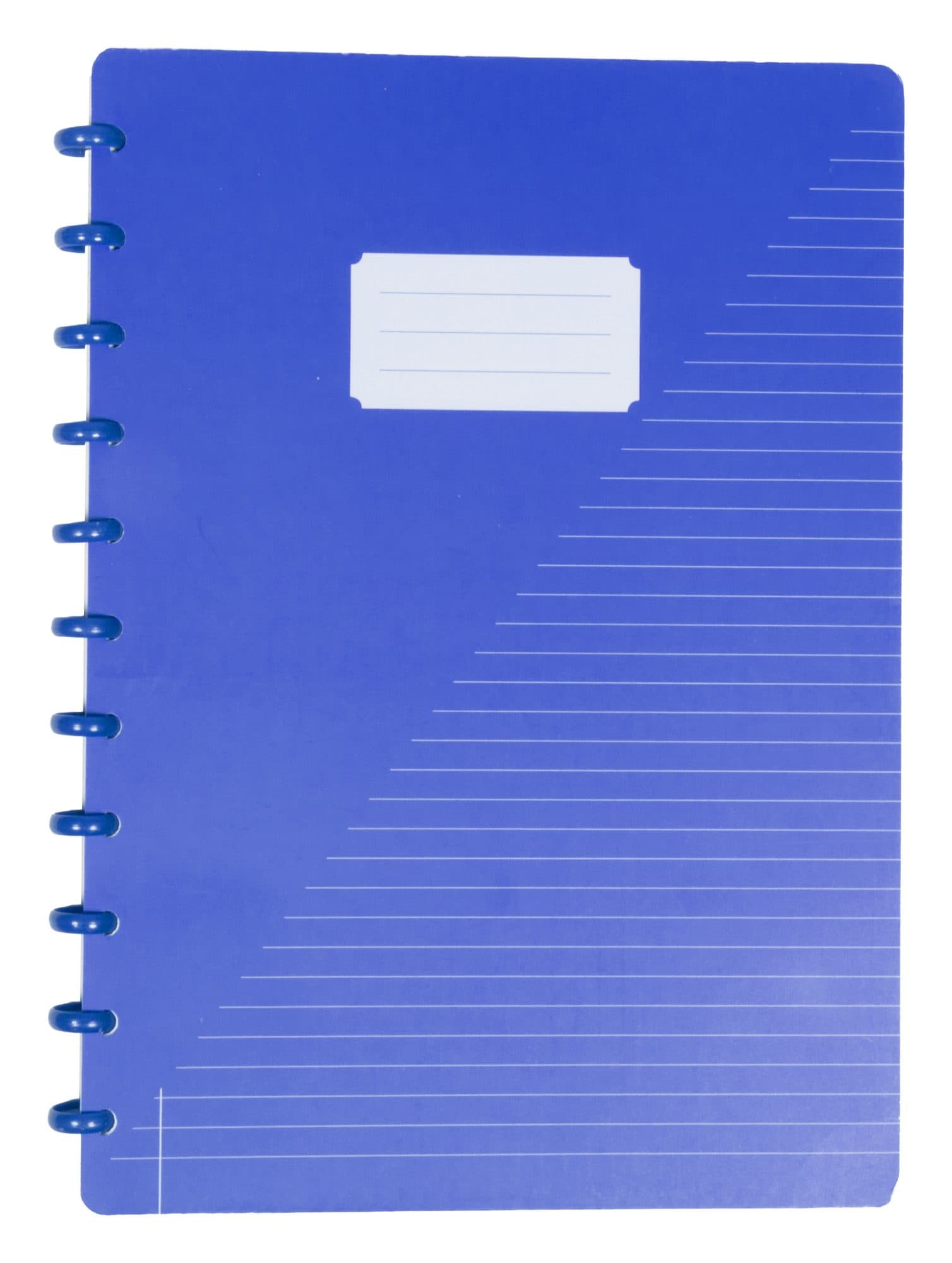Schrift Kangaro A4 lijn 144pag 90g assorti 3 kleuren 2