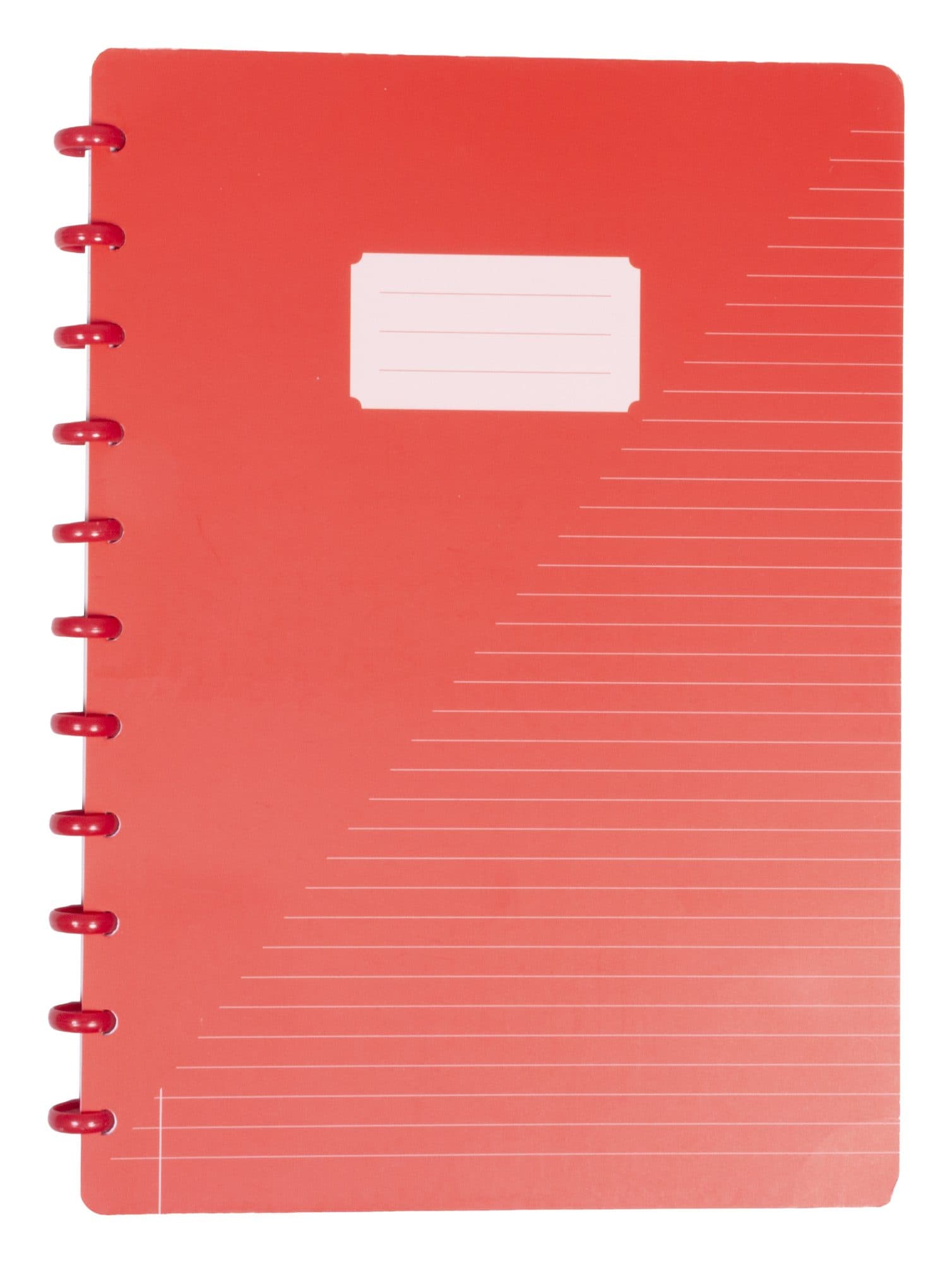 Schrift Kangaro A4 lijn 144pag 90g assorti 3 kleuren 3