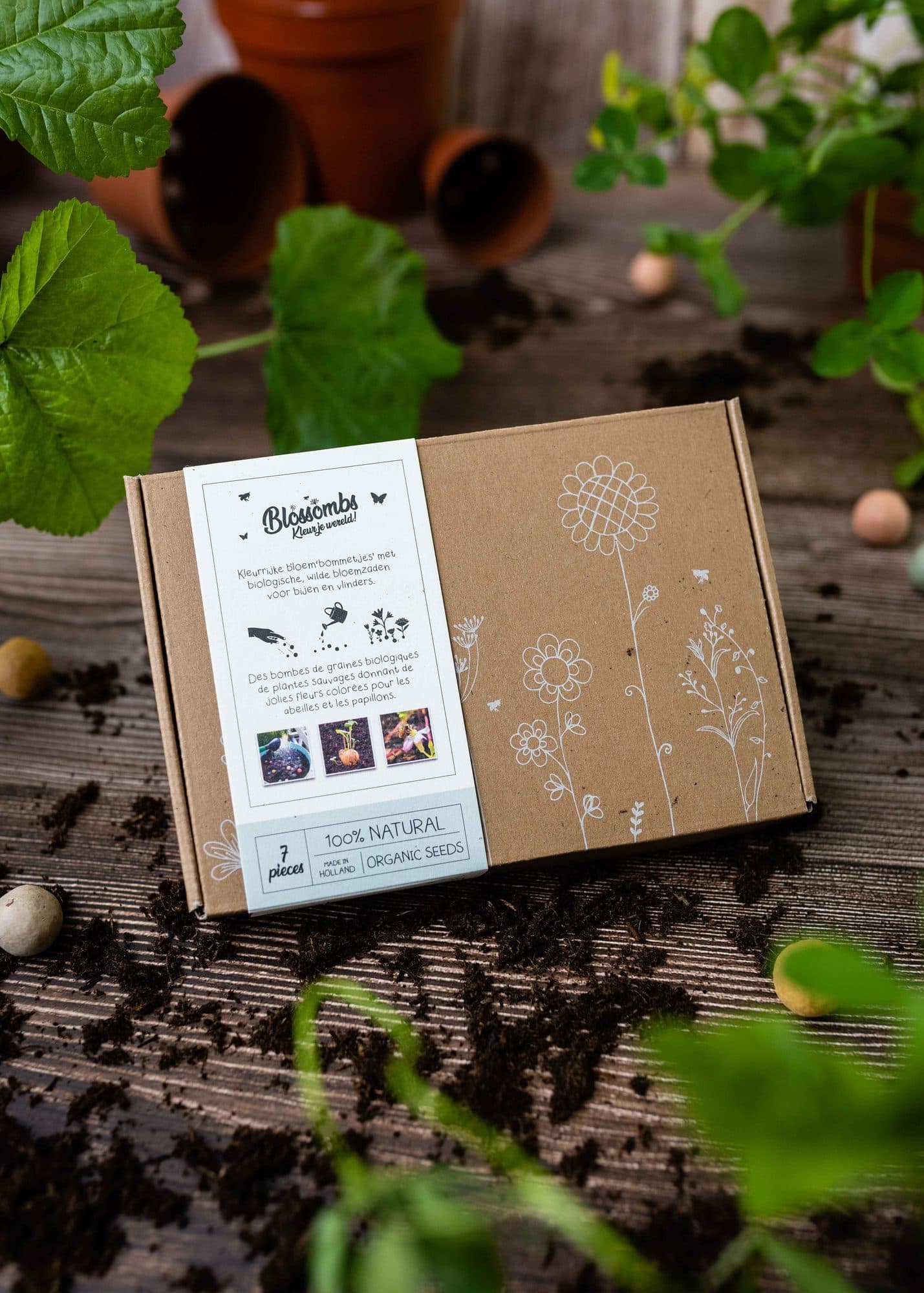 Giftbox Blossombs wilde bloemzaden box à 7 zaadbommetjes 3