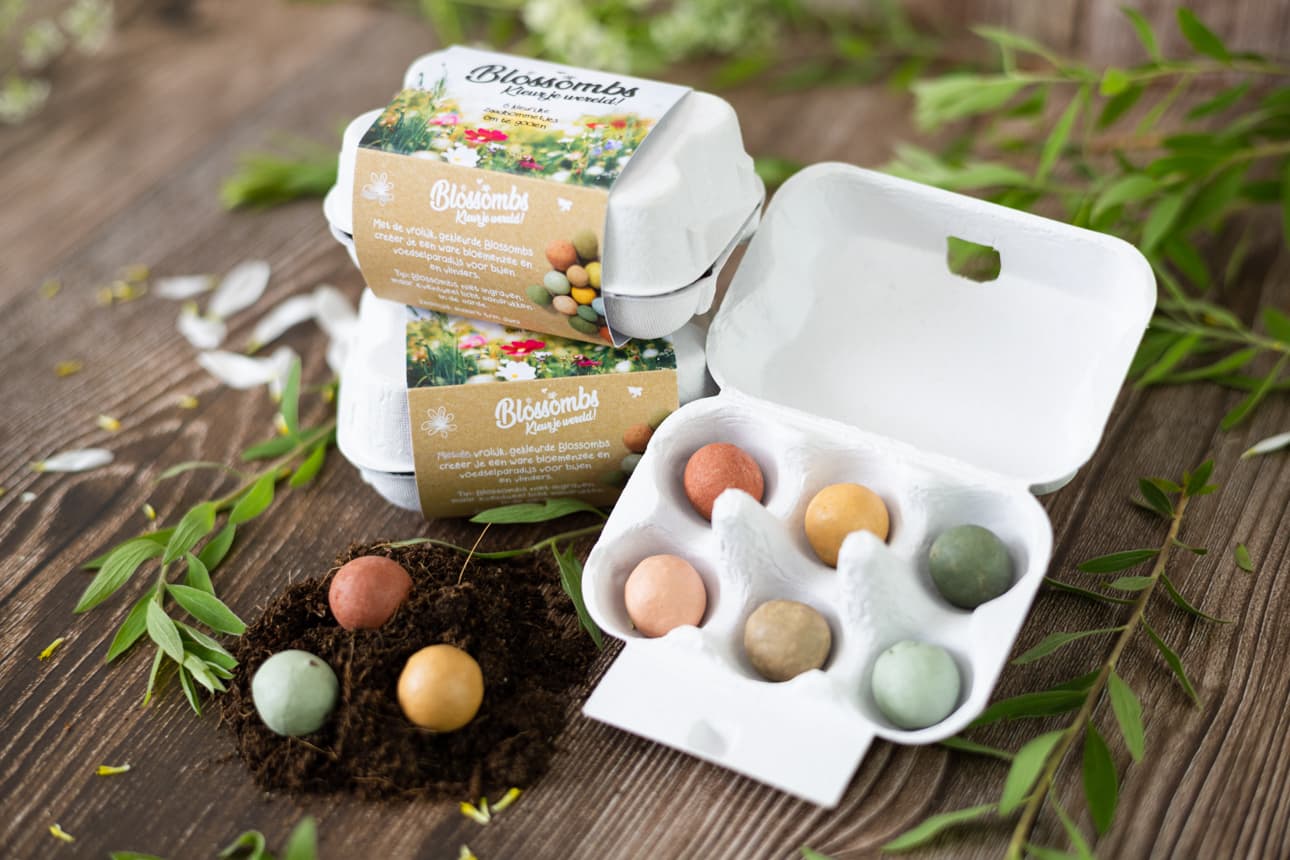 Giftbox Blossombs bloemen eierdoosje à 6 zaadbommetjes 3