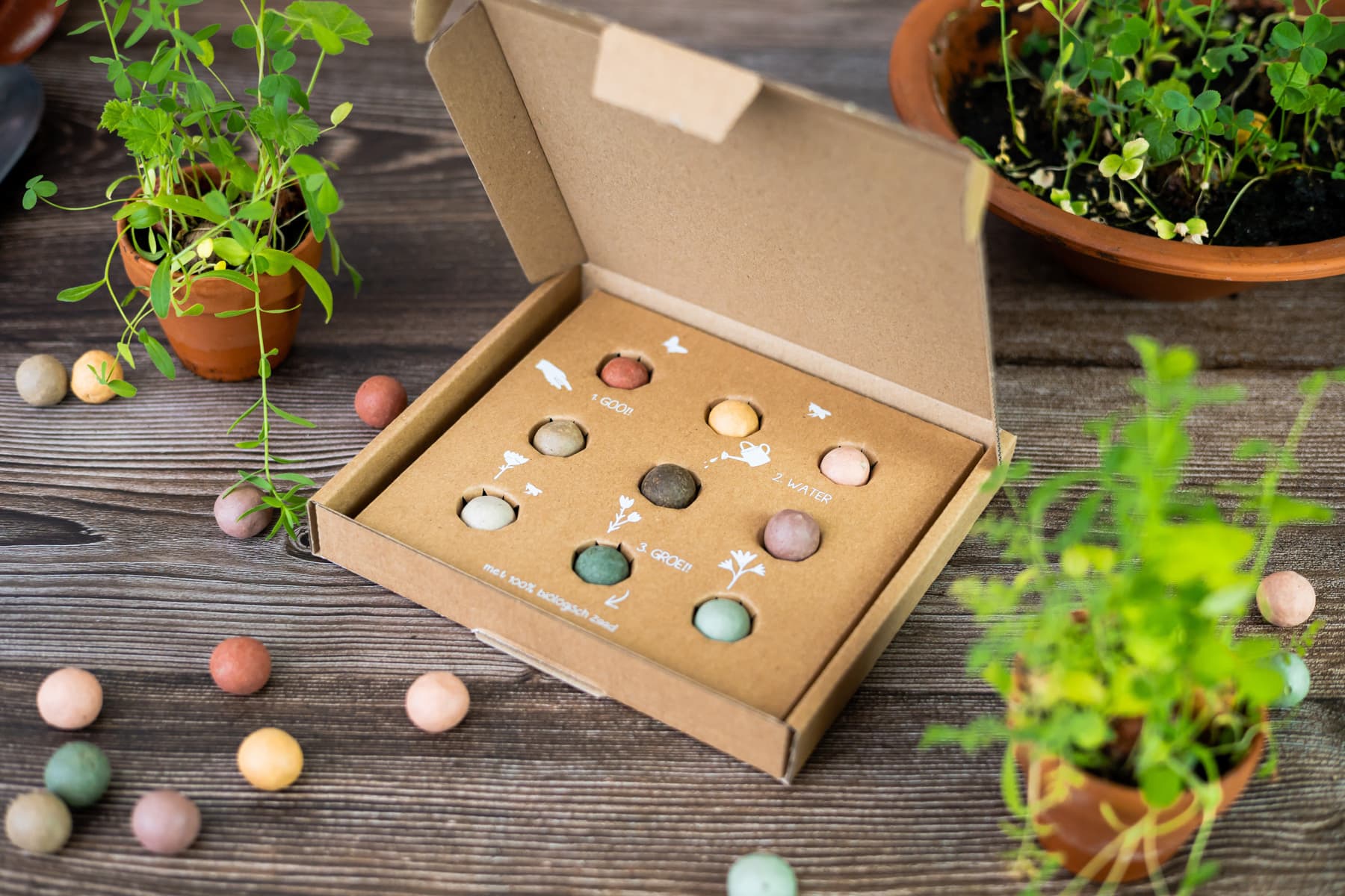 Giftbox Blossombs wilde bloemzaden box à 9 zaadbommetjes 2