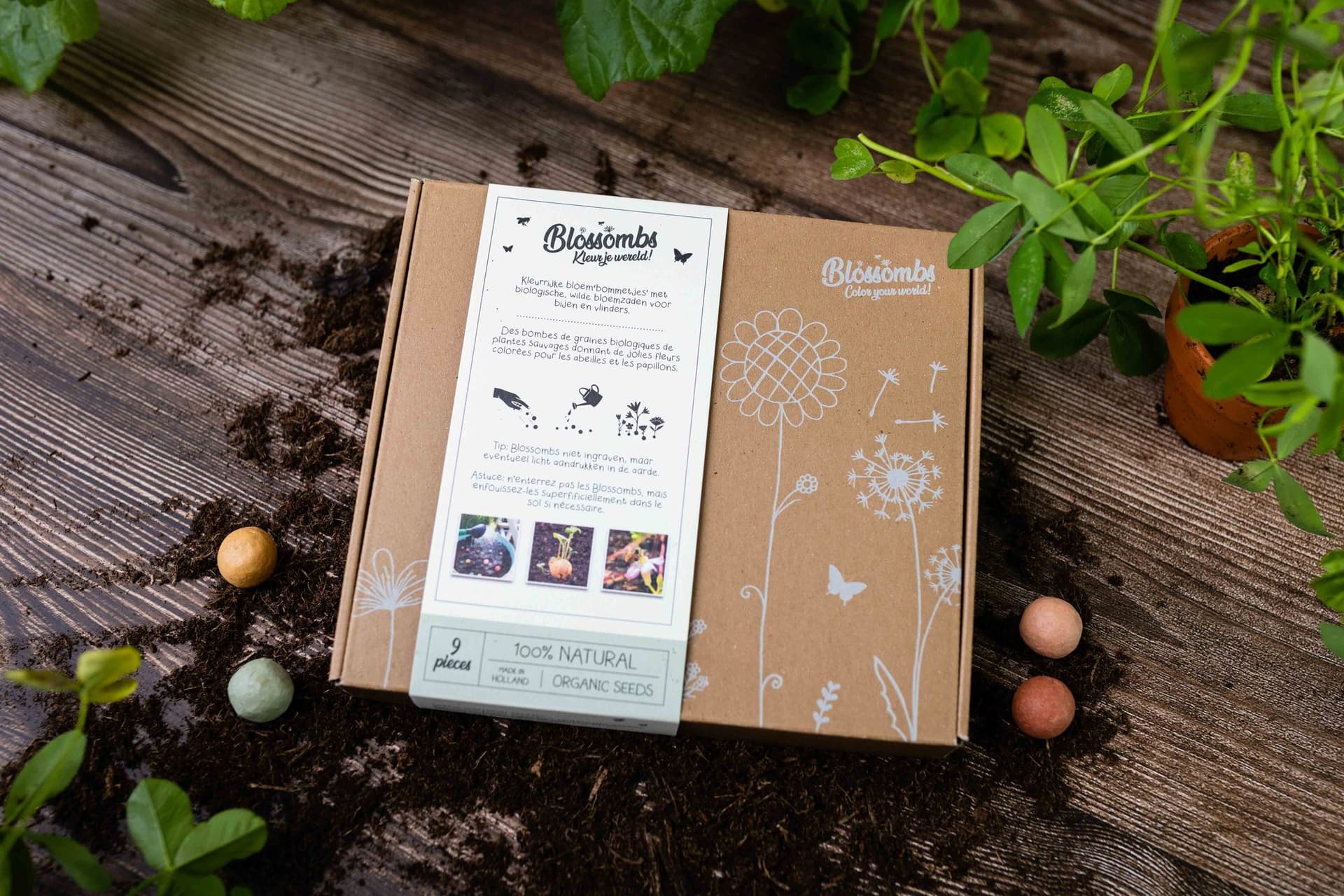 Giftbox Blossombs wilde bloemzaden box à 9 zaadbommetjes 4