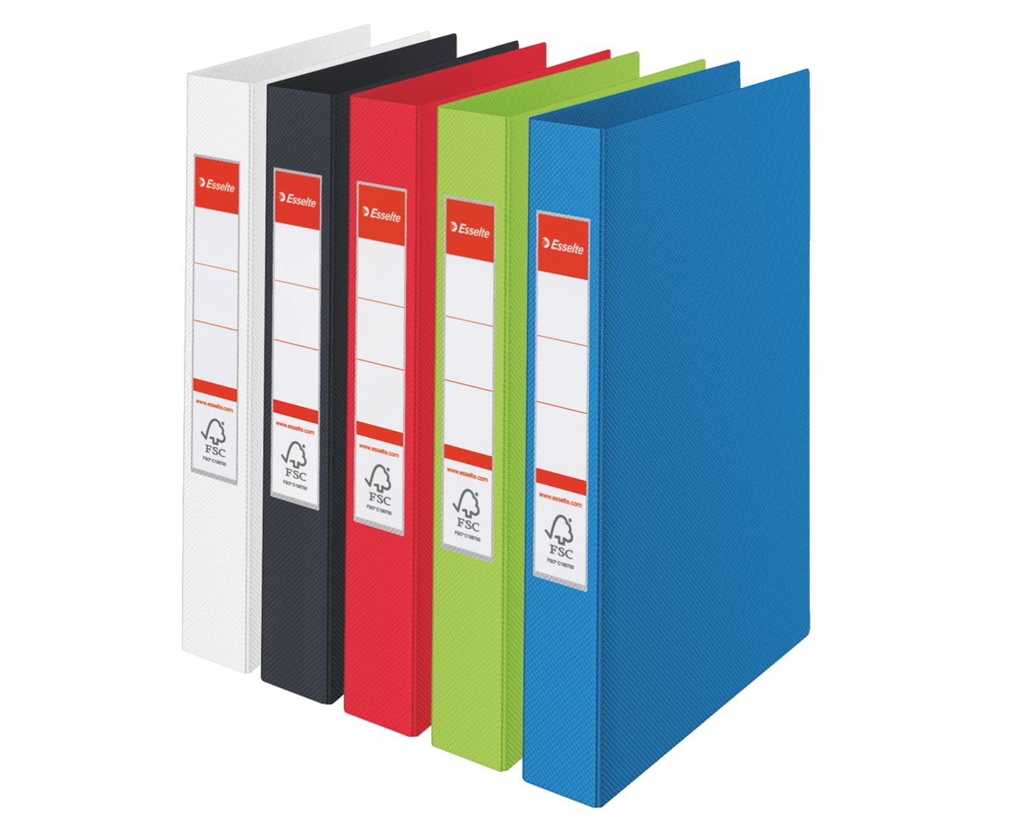 Ringband Esselte Standaard A4 42mm 30% gerecycled PP folie assorti 2