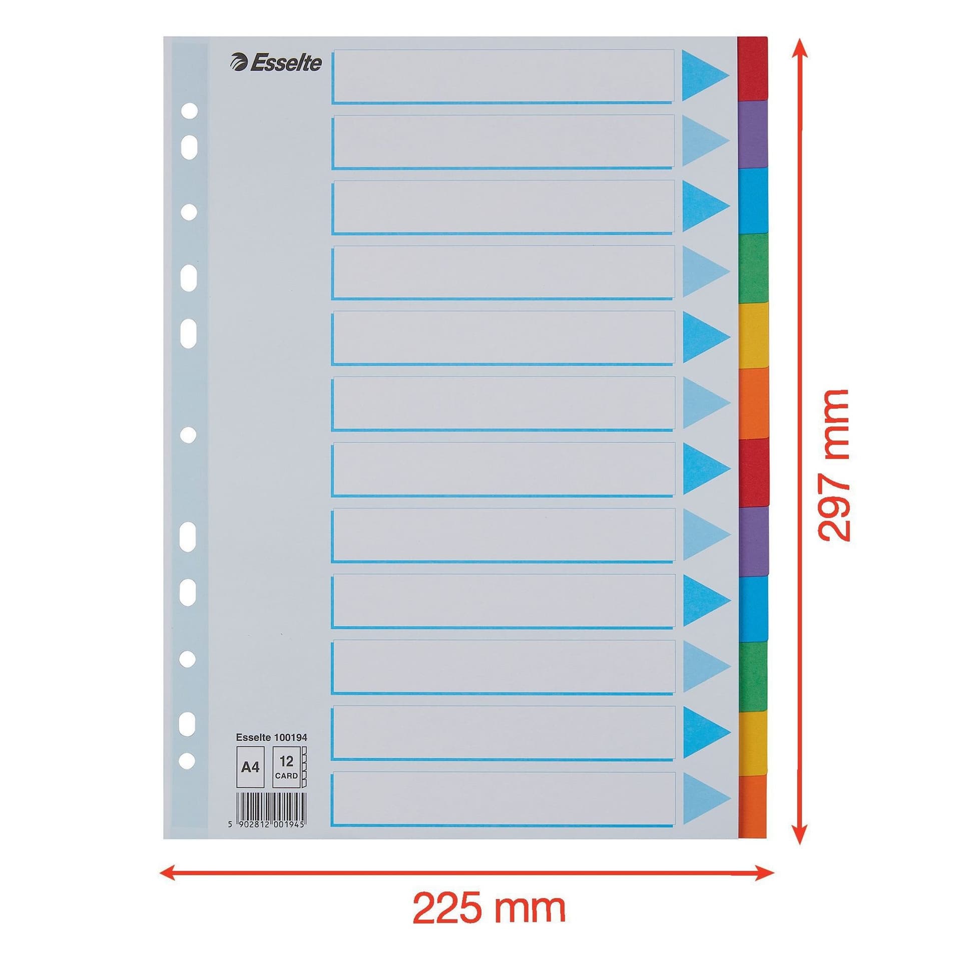 Tabbladen Esselte Standaard A4 12-delig karton 11-rings met voorblad assorti 2
