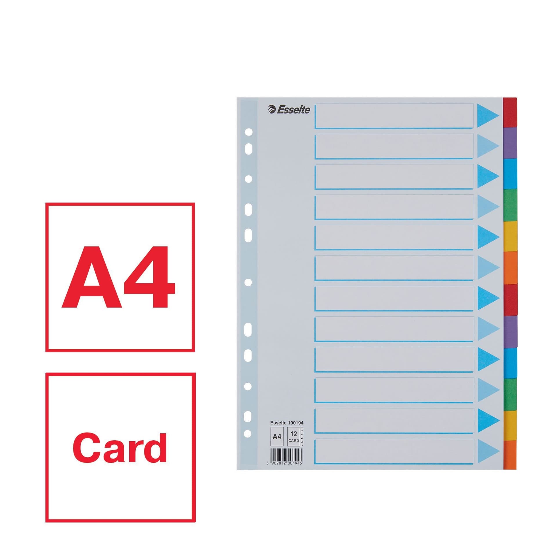 Tabbladen Esselte Standaard A4 12-delig karton 11-rings met voorblad assorti 3