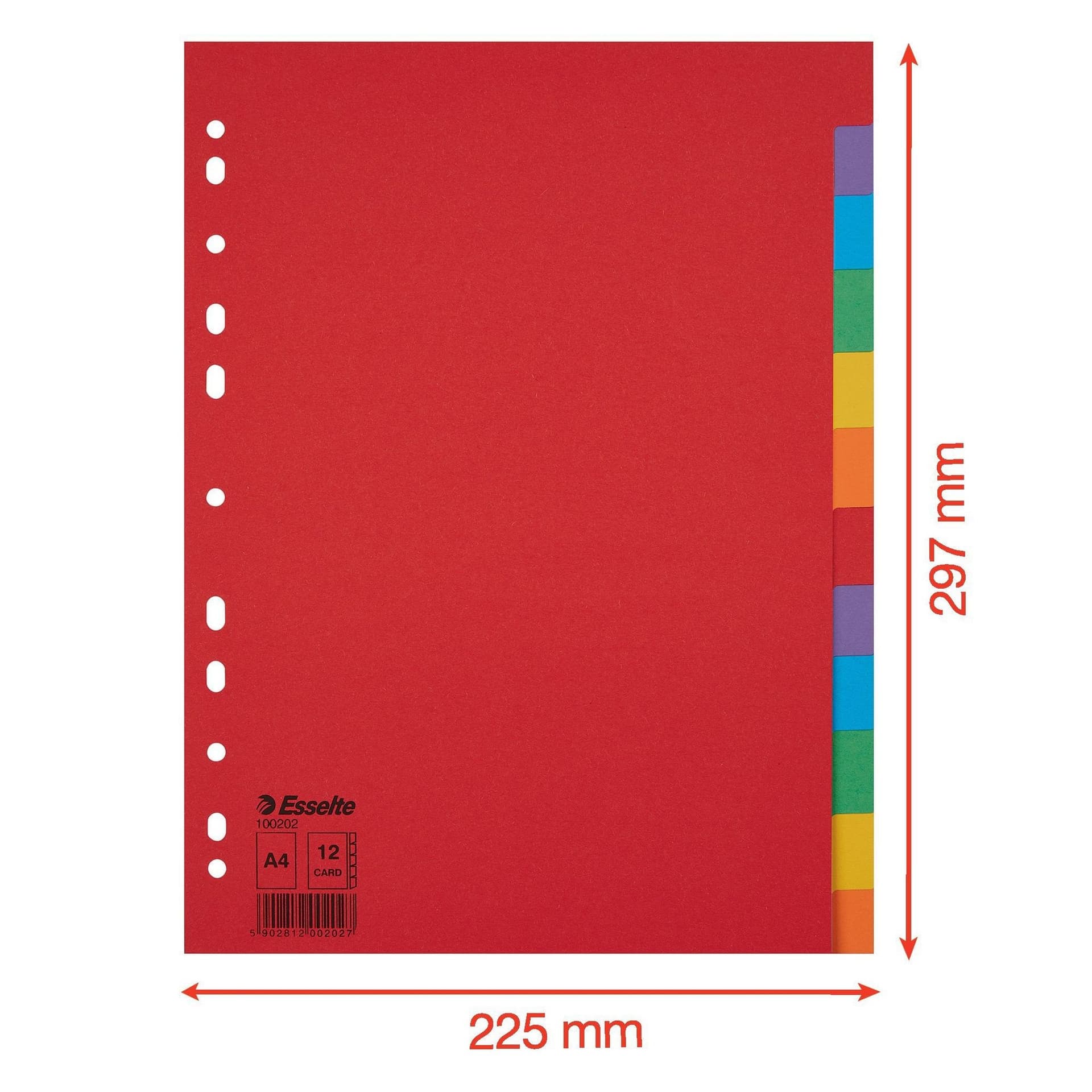 Tabbladen Esselte Economy A4 12-delig karton 11-rings assorti 2
