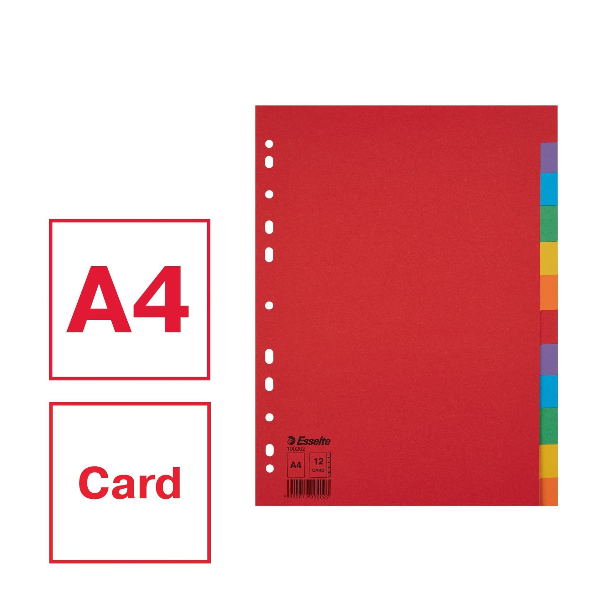 Tabbladen Esselte Economy A4 12-delig karton 11-rings assorti 3