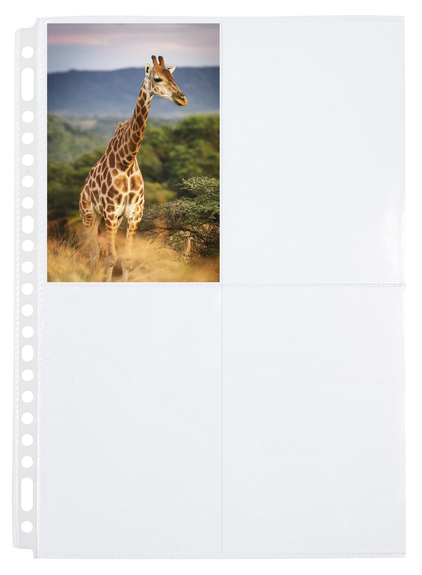 Fototas Multo A4 23-gaats 4-vaks 10X15cm PP transparant 10 stuks 2