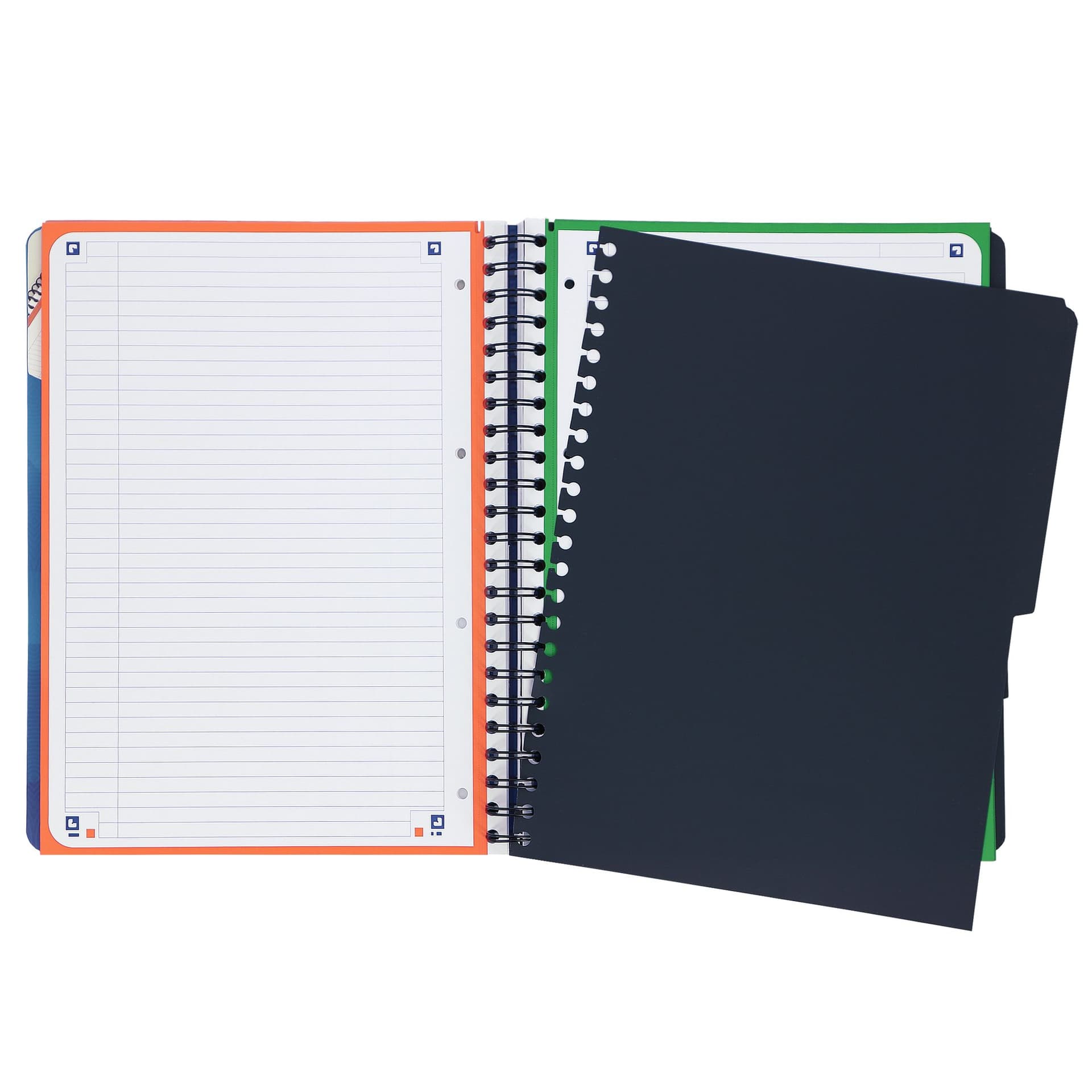 Projectboek Oxford School A4+ lijn 4-gaats 240 pagina's 80gr blauw 4