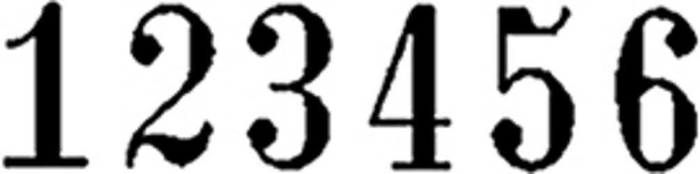 Numeroteur Reiner B6K Antiqua 4.5mm 6 cijfers 3