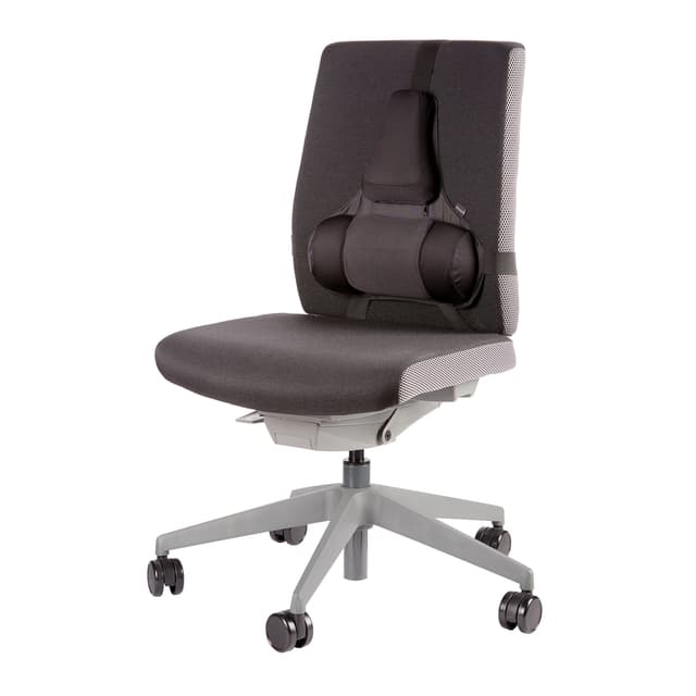 Rugsteun Fellowes Pro Ultieme 4