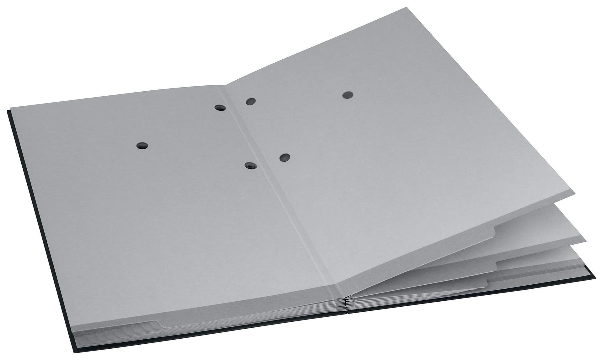 Vloeiboek Esselte 6210 karton 20 tabbladen zwart 2