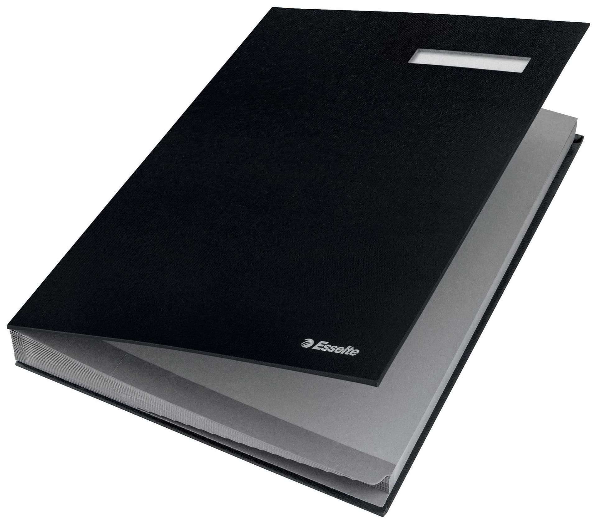 Vloeiboek Esselte 6210 karton 20 tabbladen zwart 3
