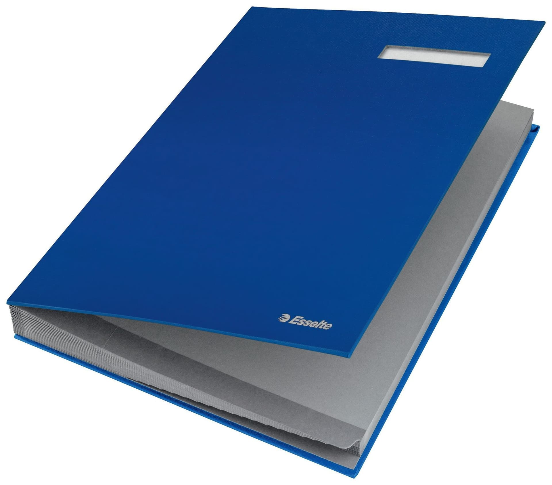 Vloeiboek Esselte karton 20 tabbladen blauw 4