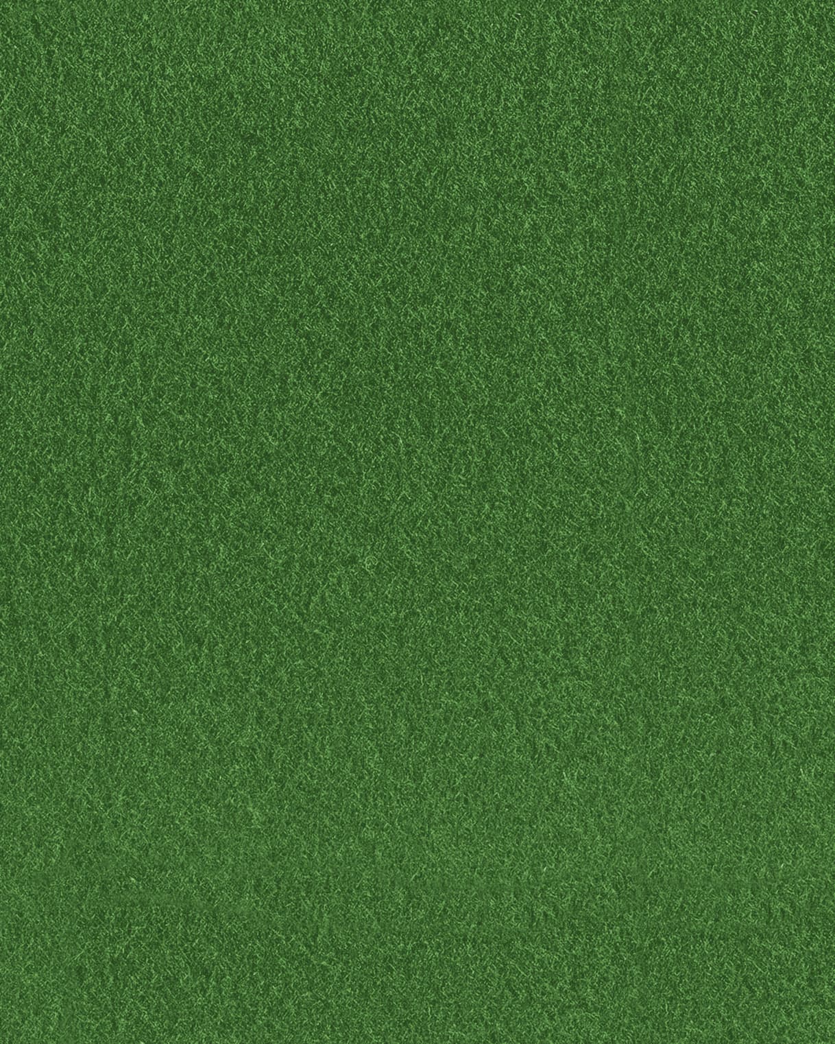 Vilt Folia 20x30cm 150gr 10 vel assorti kleuren 2