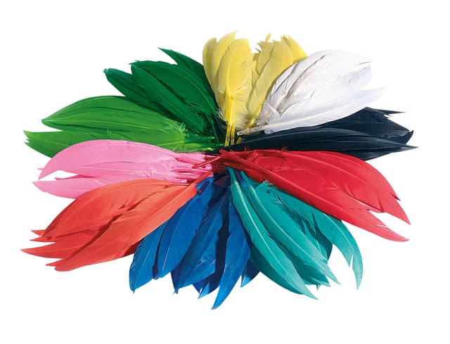 Indianen veren Folia assorti 2