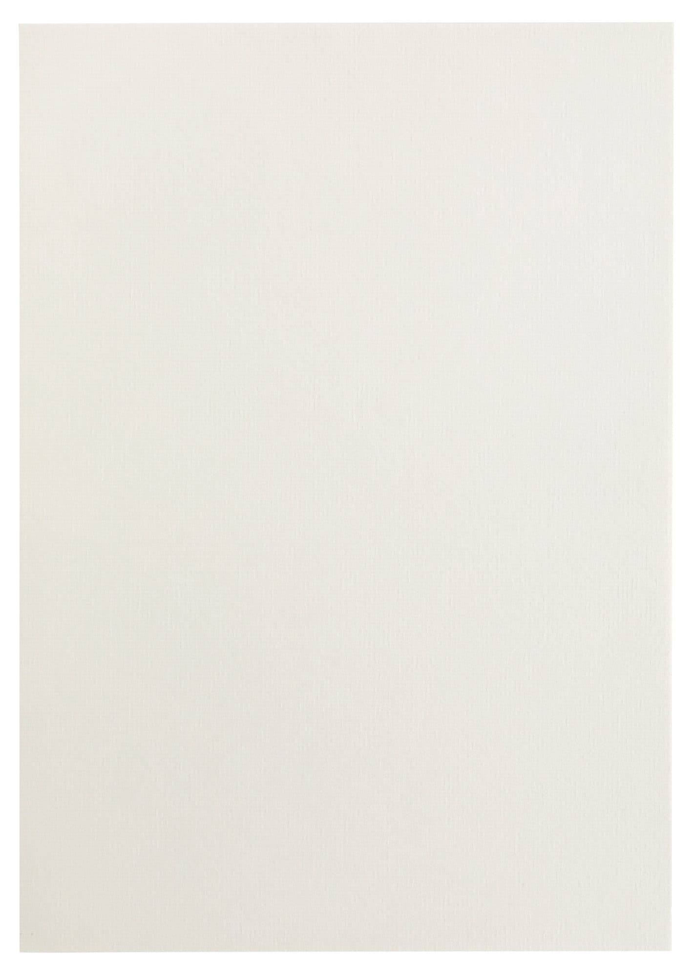 Kopieerpapier Papicolor A4 100gr 12 vel anjerwit 3