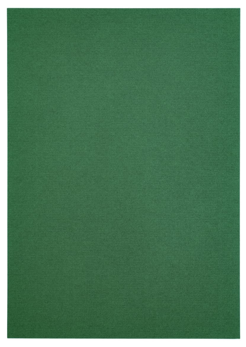 Kopieerpapier Papicolor A4 100gr 12 vel dennengroen 3