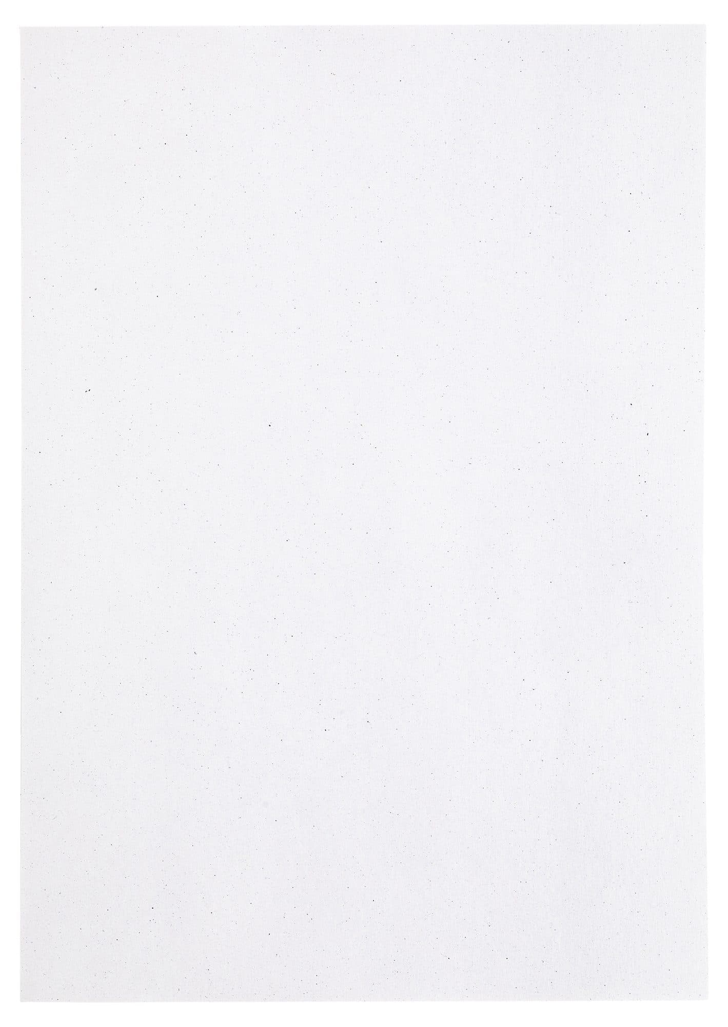 Kopieerpapier Papicolor A4 220gr 6 vel kraft wit 3