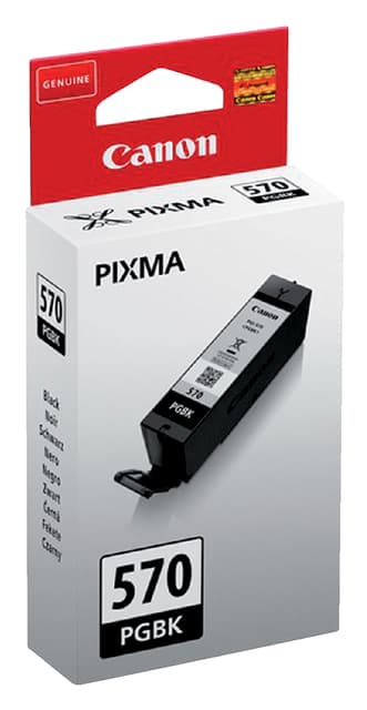 Inktcartridge Canon PGI-570 zwart 4