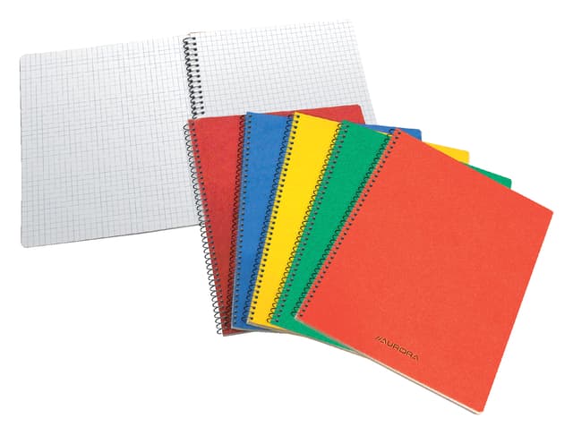 Schrift Aurora 75x110mm ruit 5x5mm 160 pagina's 60gr assorti
