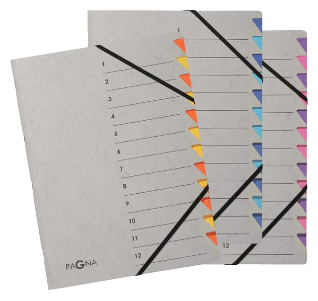 Sorteermap Pagna Easy A4 12 tabs paars/lila 2