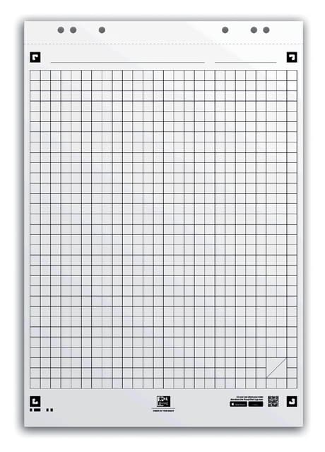 Flipoverpapier Oxford smart 650x980mm ruit 90 gram 20 vel