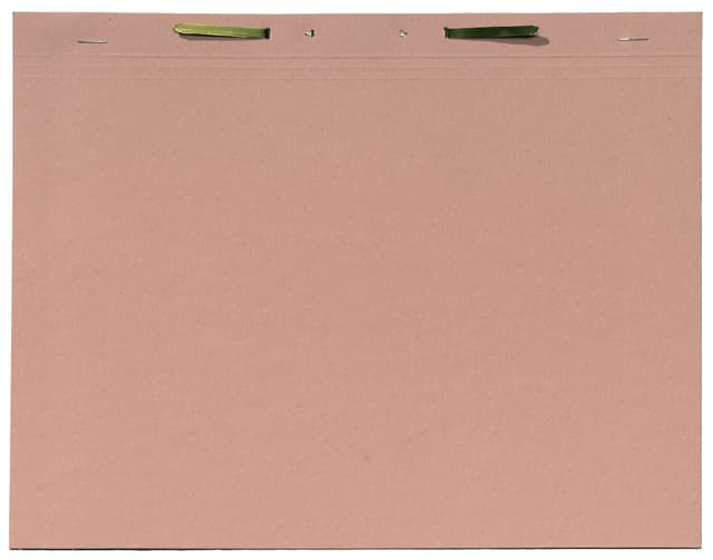 Binnenmap Djois A4 met snelhechter 300gr chamois
