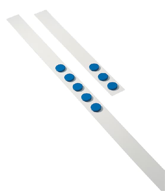 Wandlijst Desq 100cm met 5 blauwe magneten van 32mm